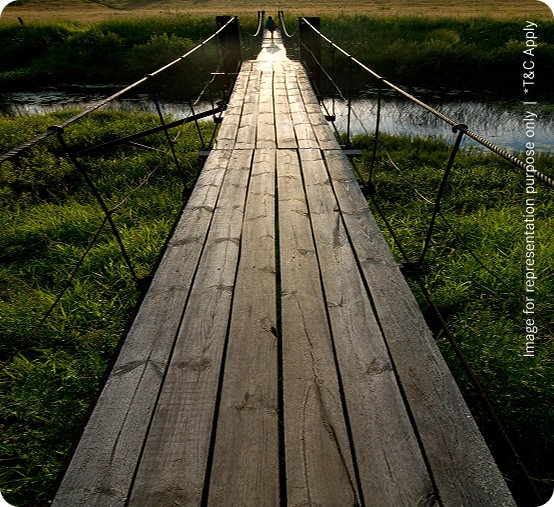 Two-Tiered Elevated Boardwalk